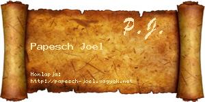 Papesch Joel névjegykártya